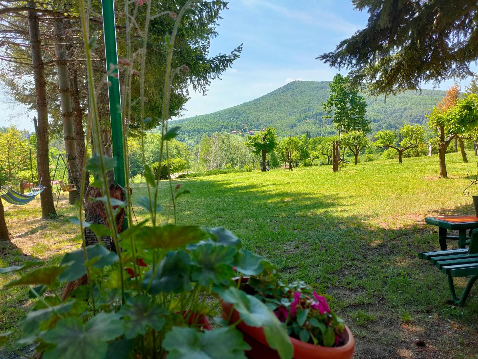 Jezerski Raj Borsko Jezero Appartamento *
